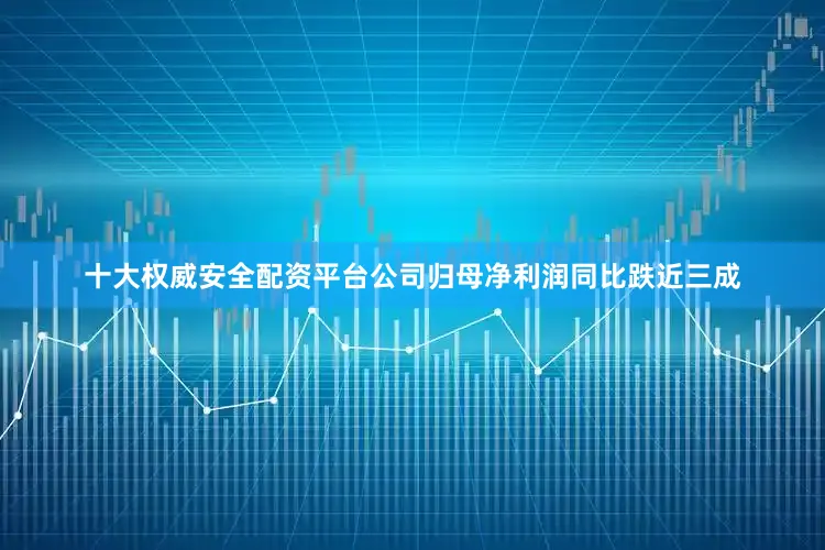 十大权威安全配资平台公司归母净利润同比跌近三成