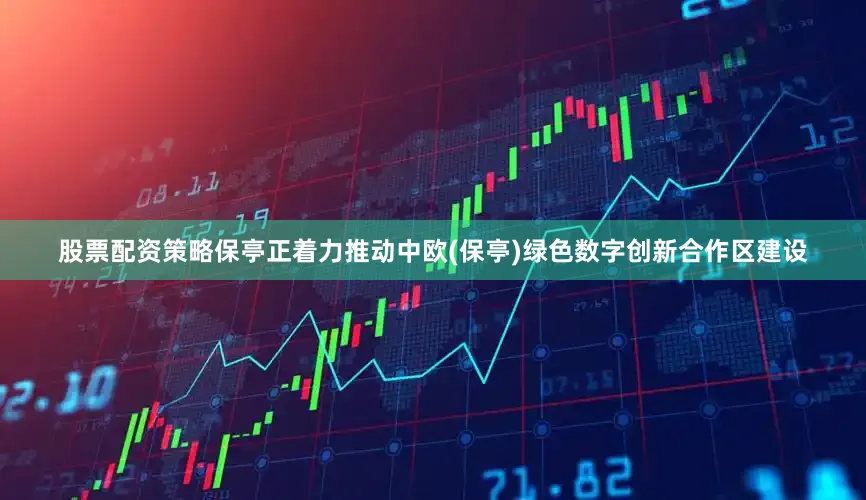 股票配资策略保亭正着力推动中欧(保亭)绿色数字创新合作区建设